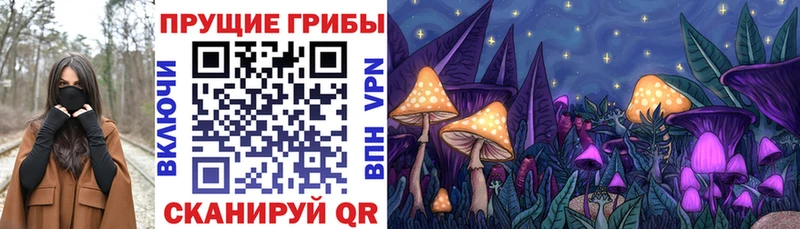 Купить где  Лангепас  Псилоцибиновые грибы прущие грибы 