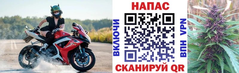 Купить где  Лангепас  Конопля конопля 